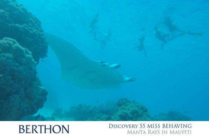 discovery-55-miss-behaving-manta-rays-in-maupiti