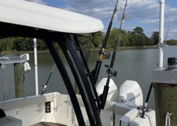 Boston Whaler 280 Vantage, EMMA GRACE 40