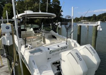 Boston Whaler 280 Vantage, EMMA GRACE 41