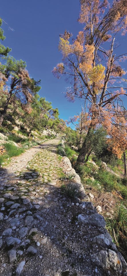 hiking-the-serra-de-tremuntana-1