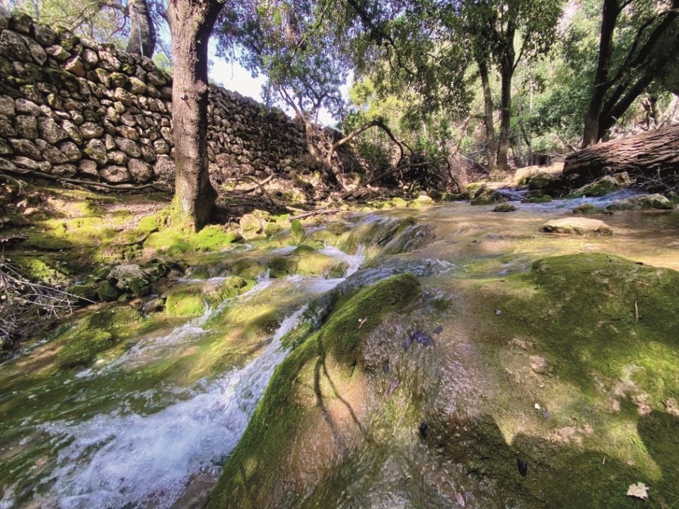 hiking-the-serra-de-tremuntana-3