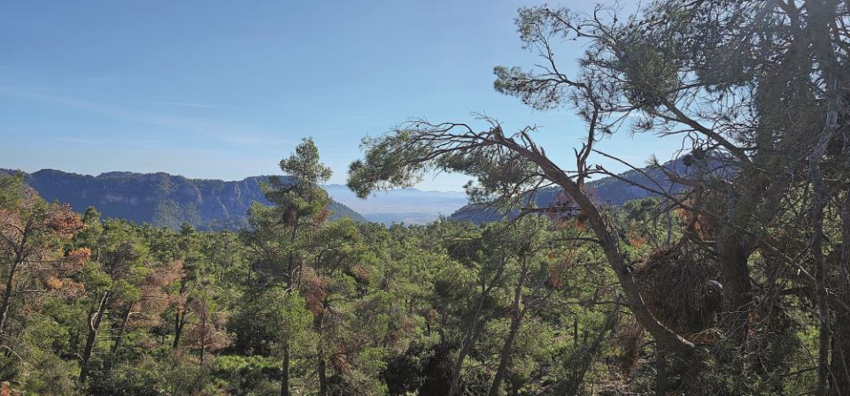 hiking-the-serra-de-tremuntana-7