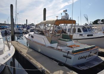 Legacy 28, LIVING THE DREAM